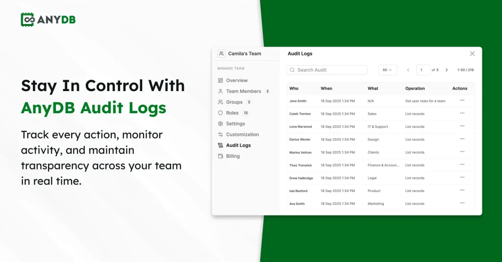 audit management software