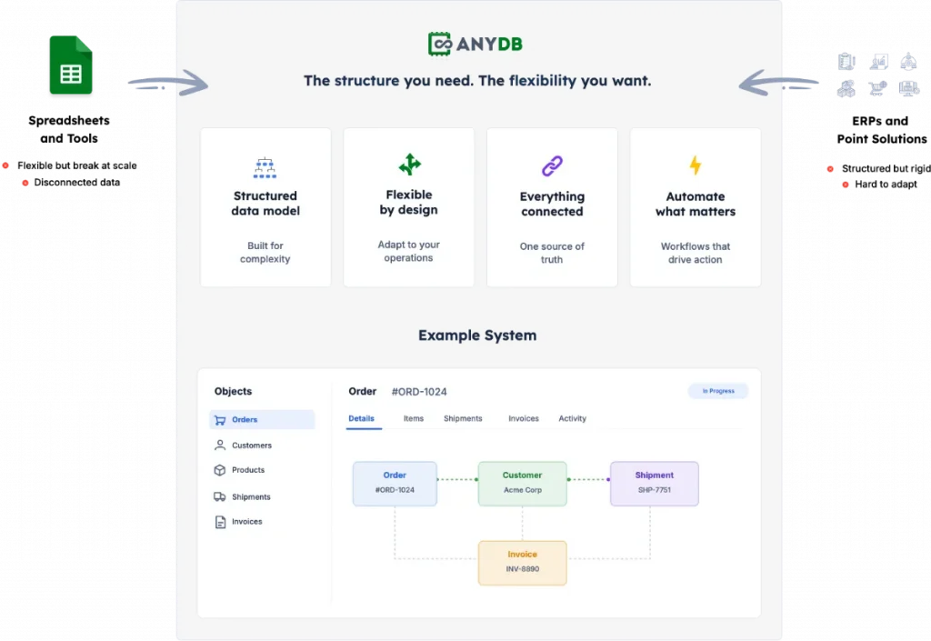 AnyDB structure and flexibility for connected business operations