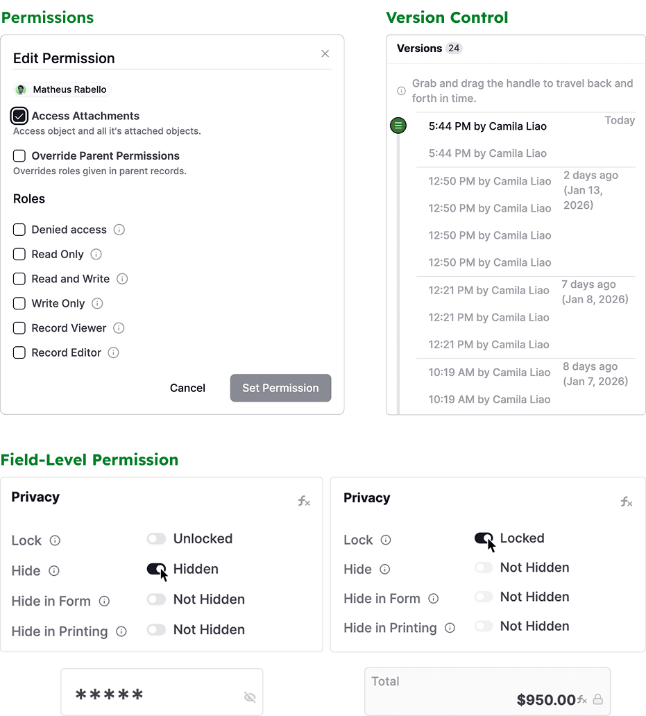 AnyDB permissions, version control, and field-level permission controls