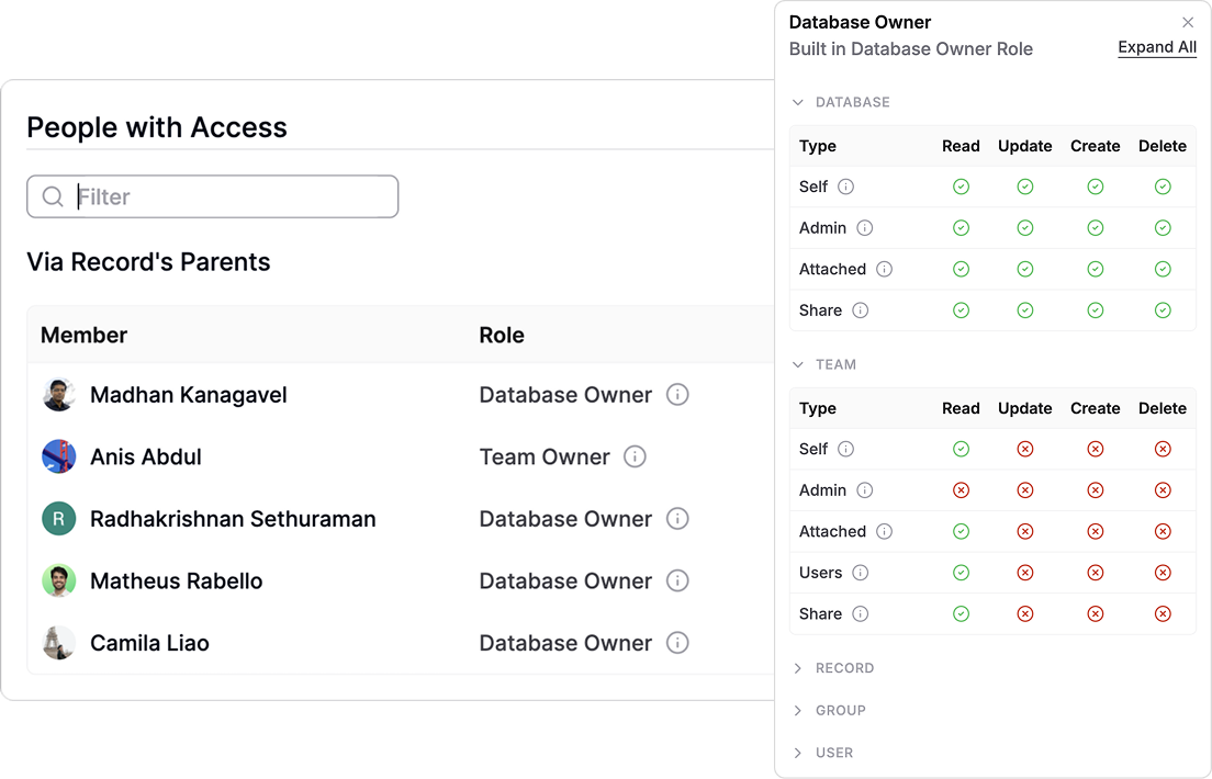 Team roles and access settings in AnyDB
