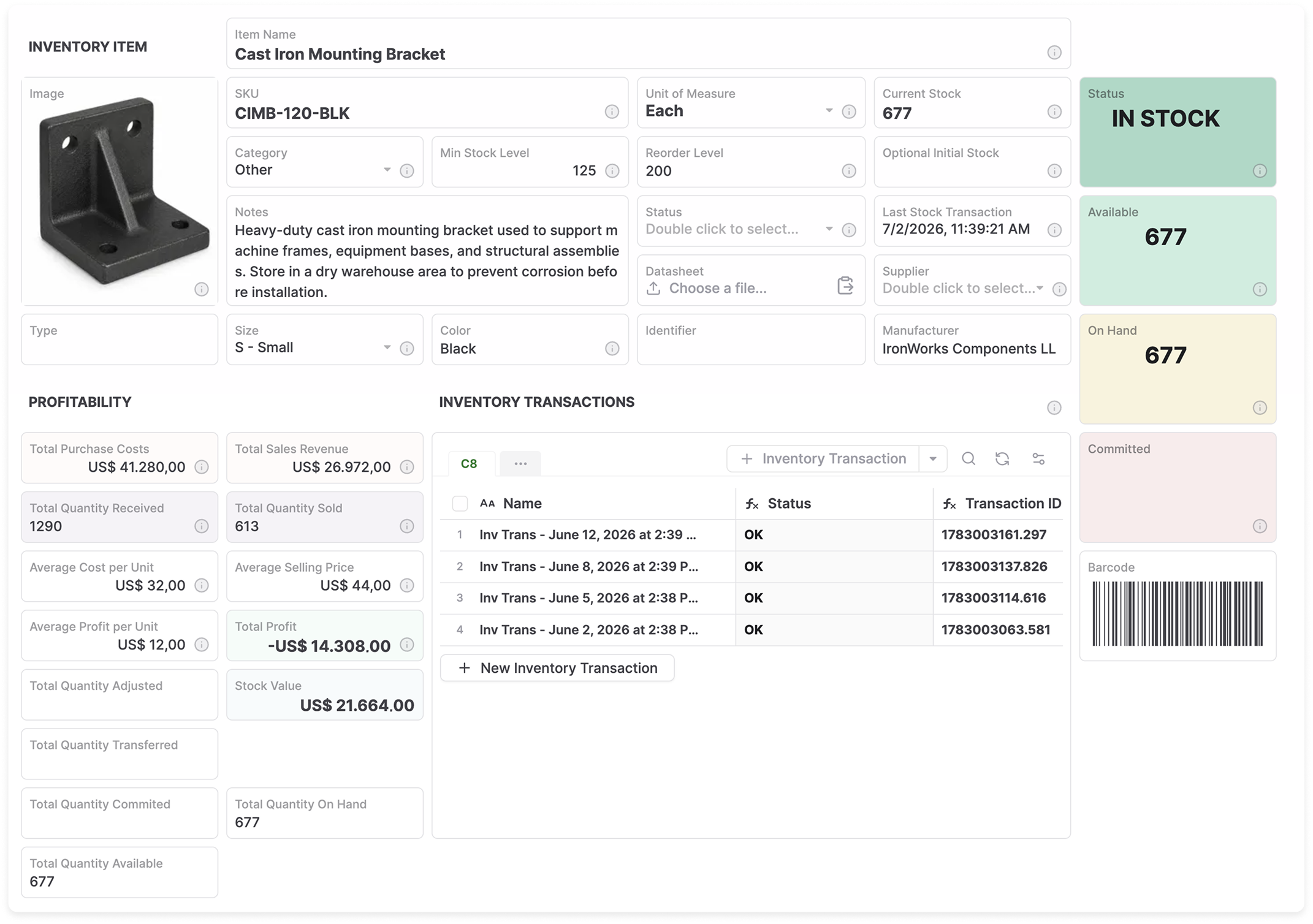 AnyDB inventory item record with stock quantities and inventory transactions