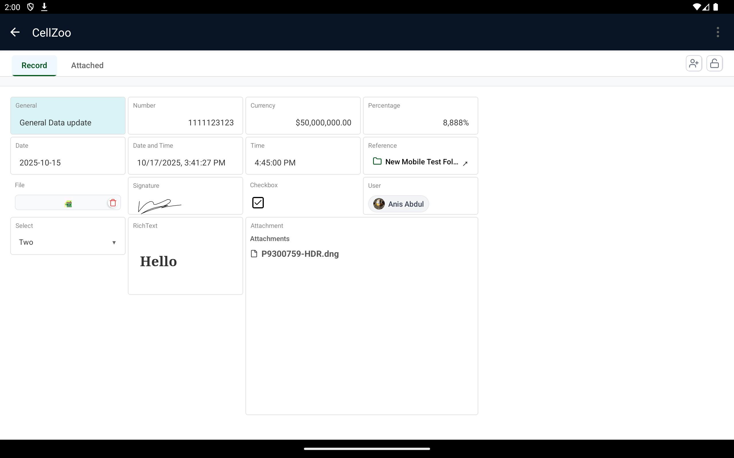 AnyDB Tablet Record View