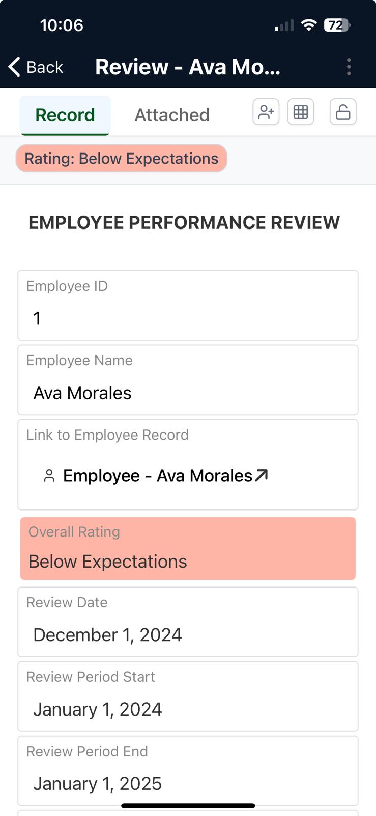 AnyDB iOS Record Details
