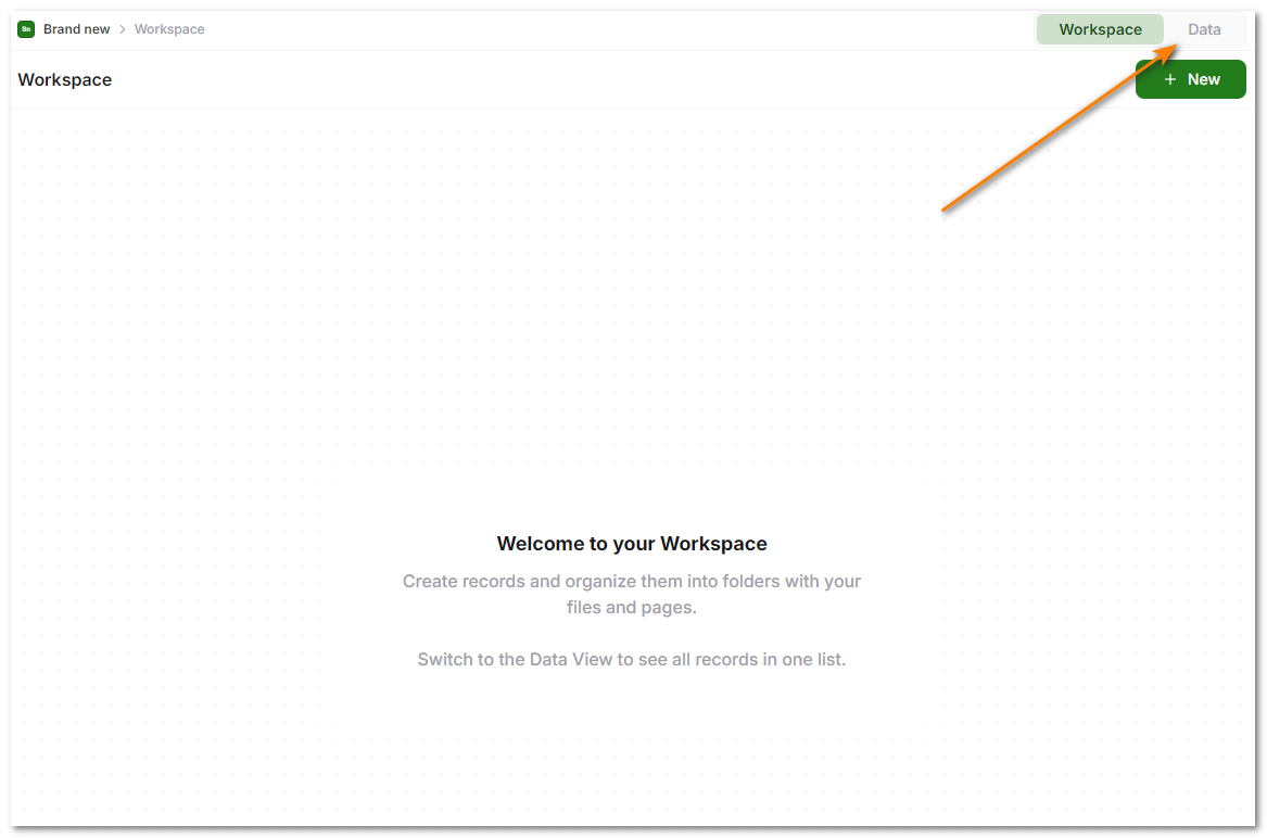 Workspace vs Data View Toggle