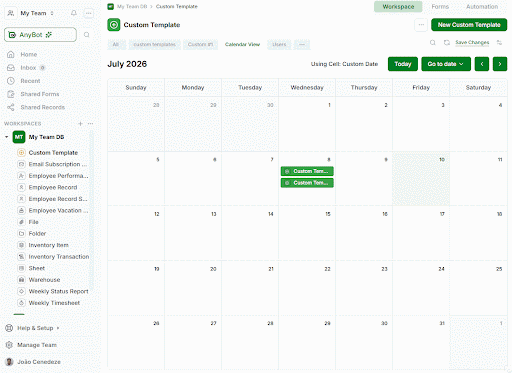 AnyDB Add Record from Calendar