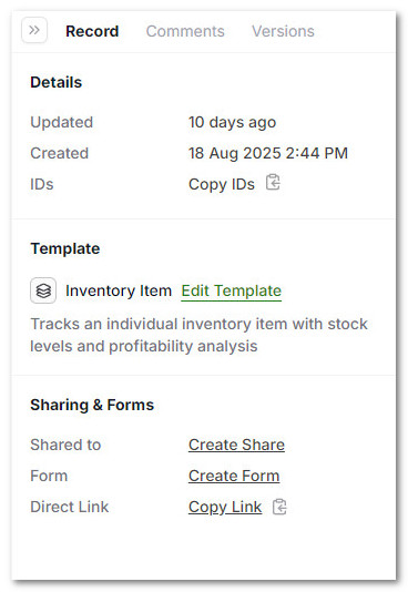 AnyDB Right Panel Interface Overview