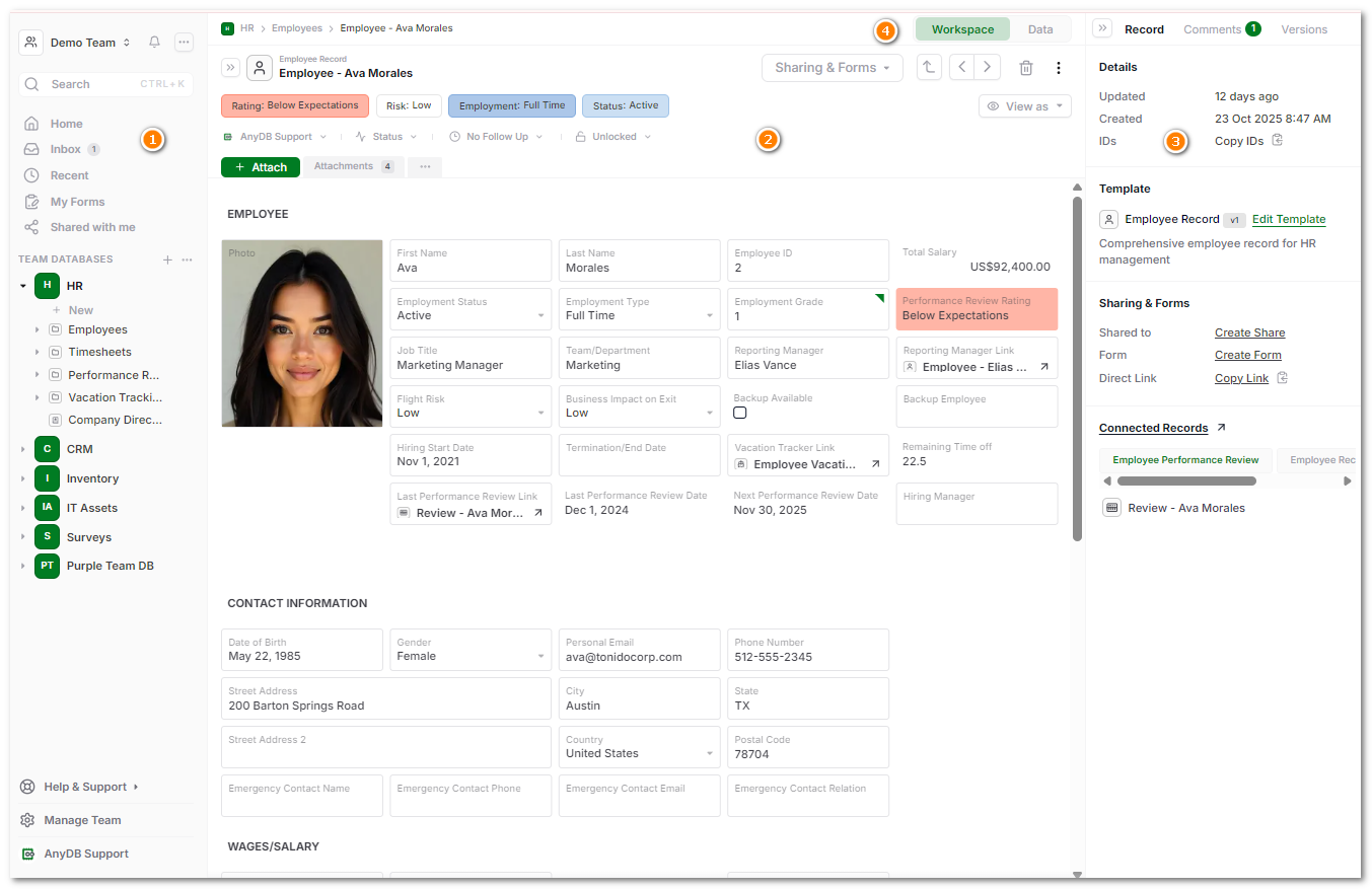 AnyDB Interface Overview