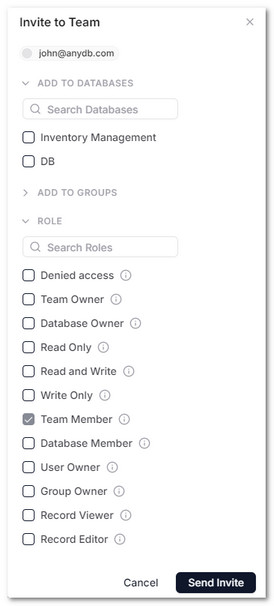 AnyDB Team Invite User Role