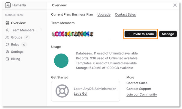 AnyDB Team Management Screen