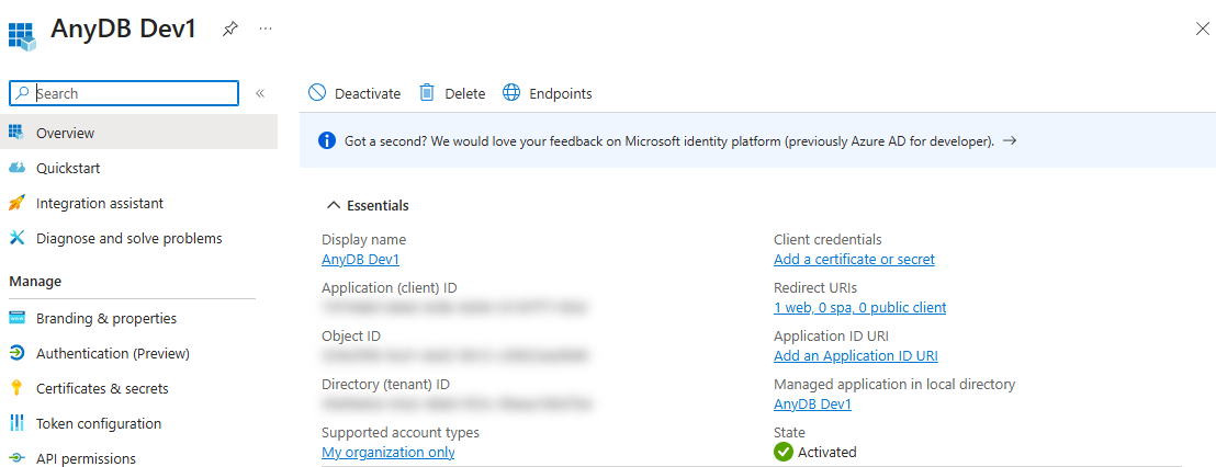 Entra app Overview with the Application (client) ID and Directory (tenant) ID in Essentials (values blurred)