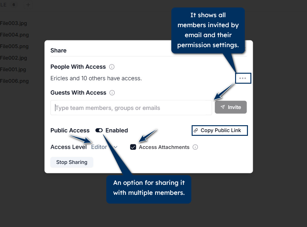 File Sharing