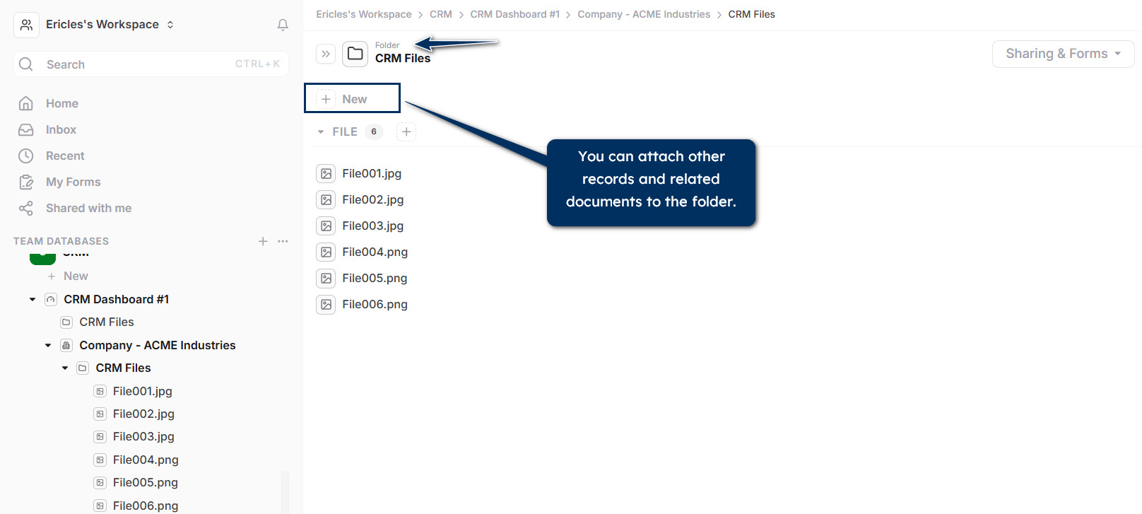 File Sharing