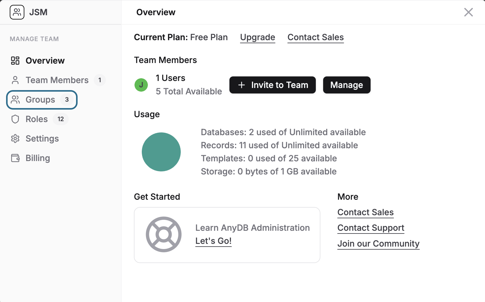 AnyDB Team Management Screen