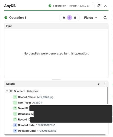 Module 1 output from a real run: Record Name IMG_3940.jpg, Item Type, Team ID, Database ID, Record ID, dates