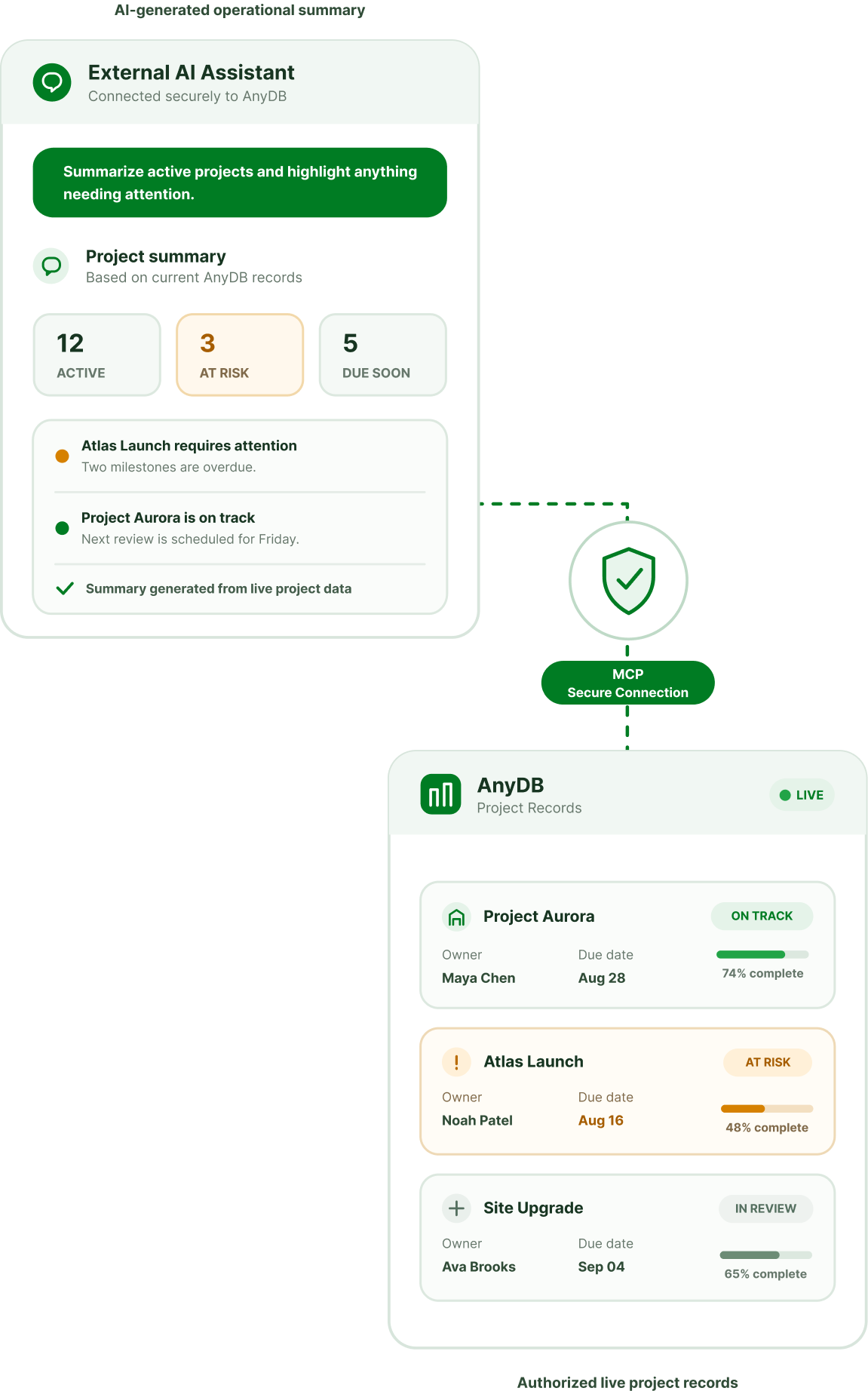 An external AI assistant retrieving and summarizing authorized AnyDB project records